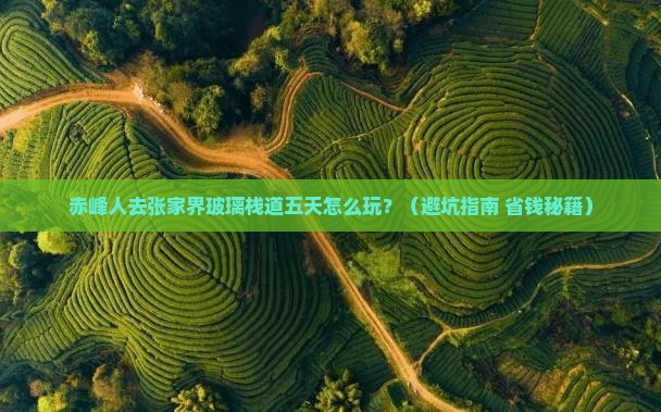 赤峰去张家界玻璃栈道五日游