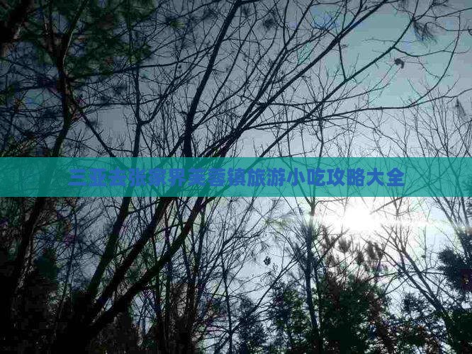 三亚去张家界芙蓉镇旅游小吃