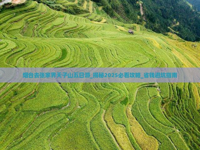 烟台去张家界天子山五日游