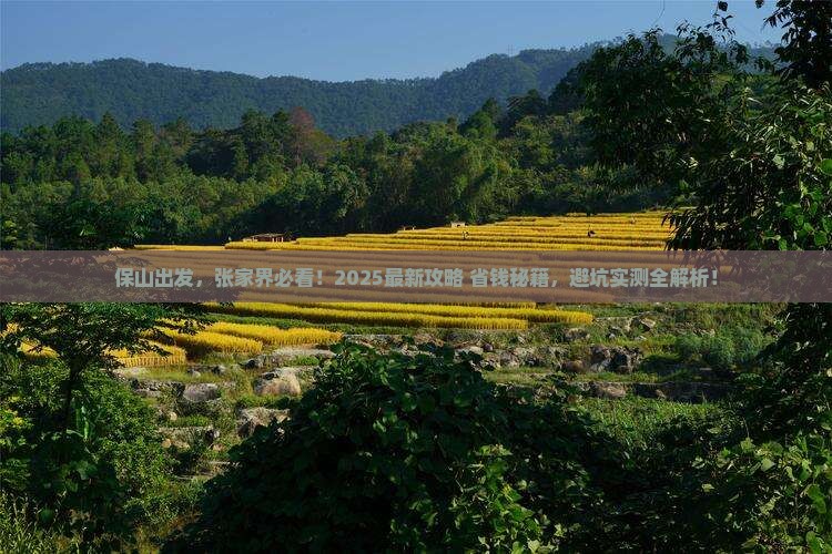 保山去张家界团体旅游