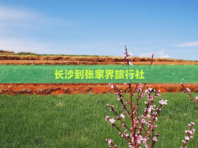 长沙到张家界旅行社