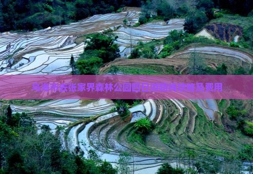 乌海市去张家界森林公园四日游