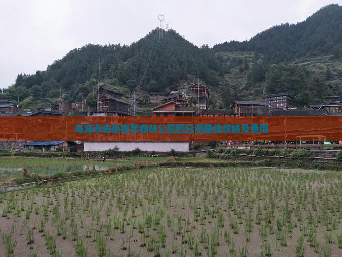 乌海市去张家界森林公园四日游