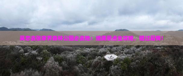 吴忠去张家界森林公园必去地