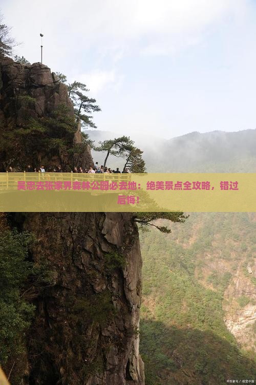 吴忠去张家界森林公园必去地