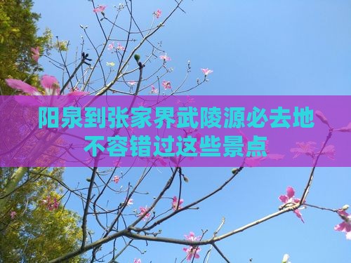 阳泉到张家界武陵源必去地