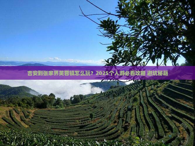 吉安到张家界芙蓉镇个人游