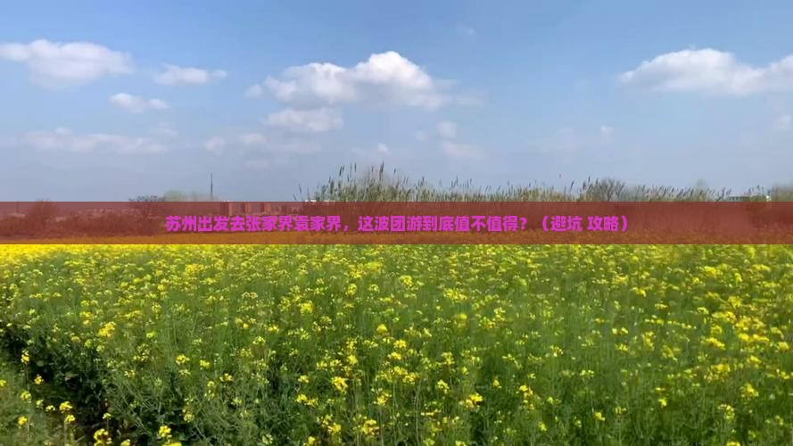 苏州去张家界袁家界团体旅游
