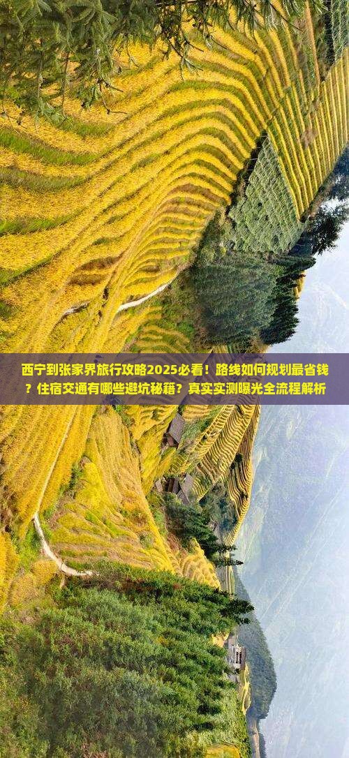西宁到张家界旅行社