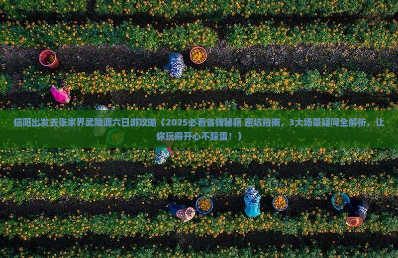 信阳去张家界武陵源六日游