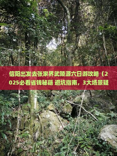 信阳去张家界武陵源六日游
