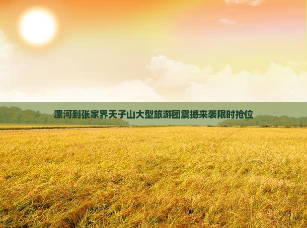 漯河到张家界天子山大型旅游团