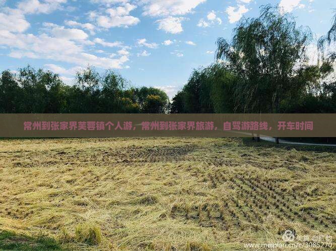 常州到张家界芙蓉镇个人游