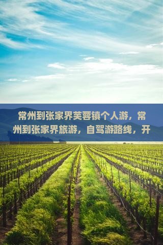 常州到张家界芙蓉镇个人游