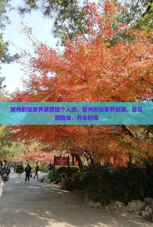常州到张家界芙蓉镇个人游