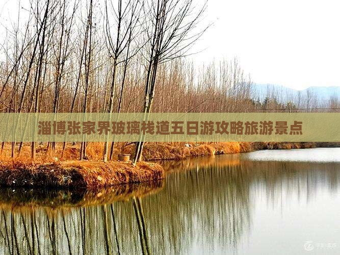淄博去张家界玻璃栈道五日游