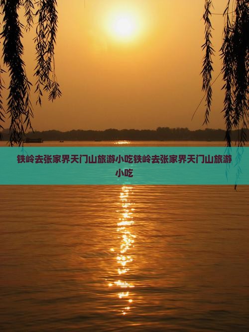 铁岭去张家界天门山旅游小吃