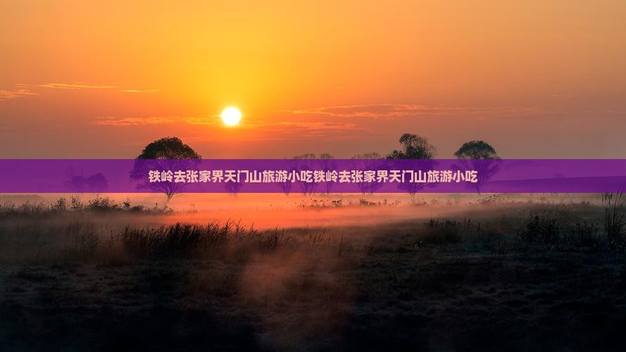 铁岭去张家界天门山旅游小吃