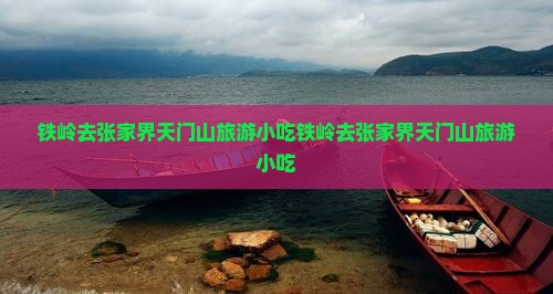 铁岭去张家界天门山旅游小吃
