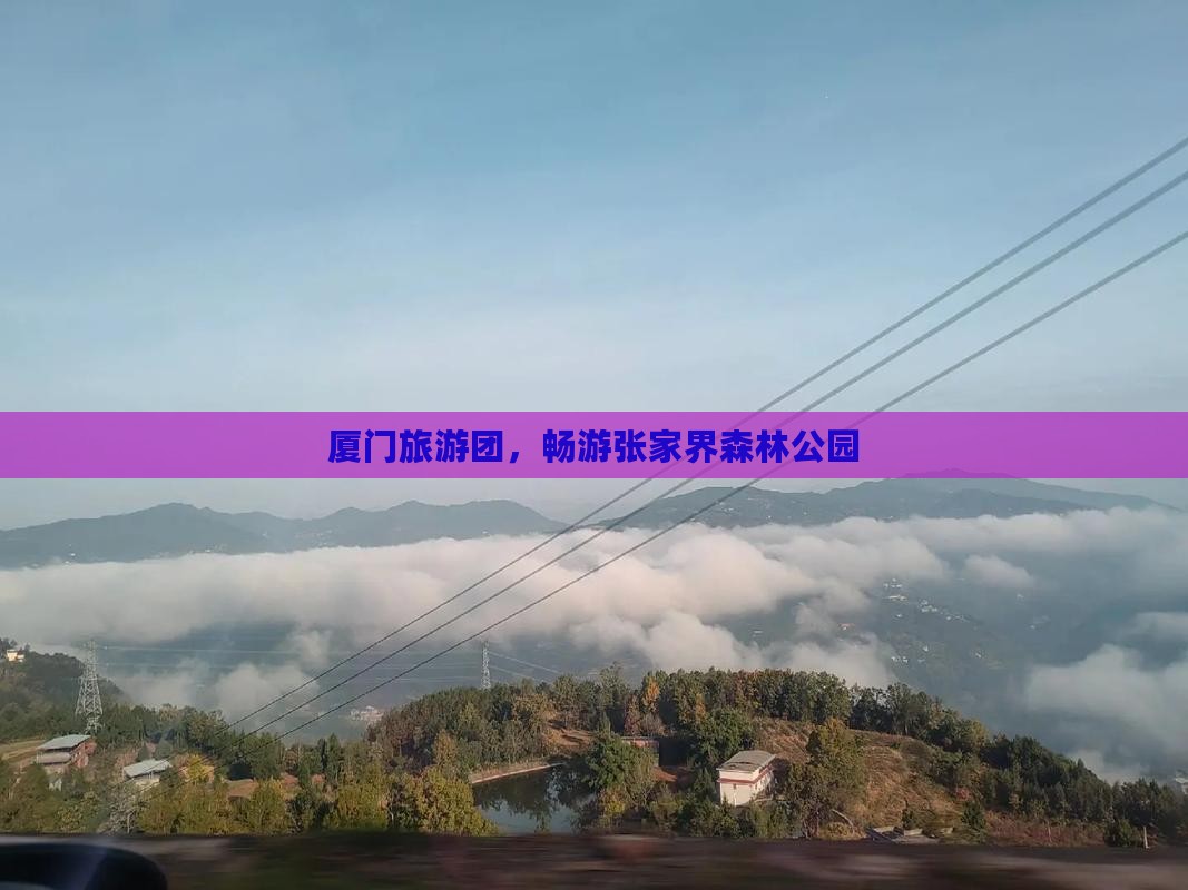 厦门去张家界森林公园大型旅游团