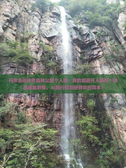 丹东去张家界森林公园个人游