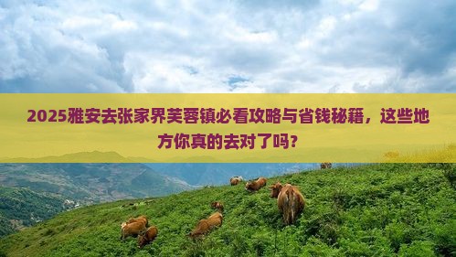 雅安去张家界芙蓉镇必去地
