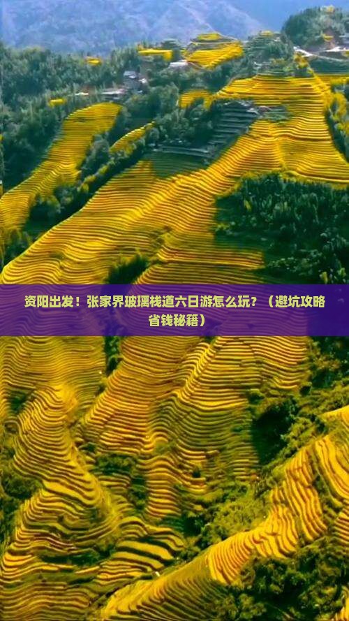 资阳到张家界玻璃栈道六日游