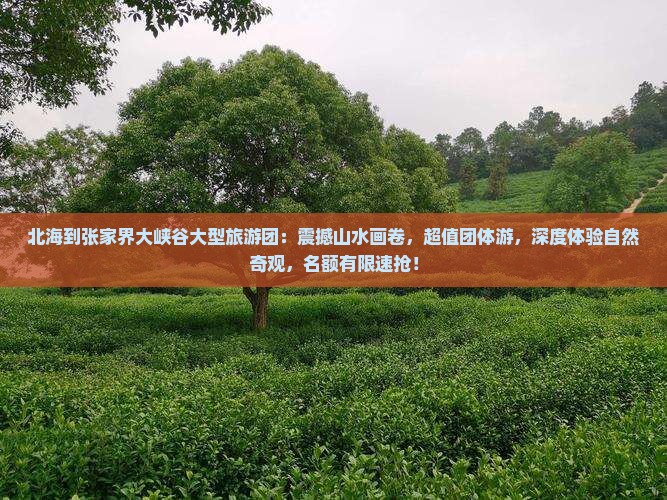 北海到张家界大峡谷大型旅游团