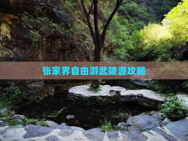 秋天去张家界武陵源自由团