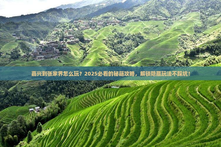 嘉兴到张家界哪里玩