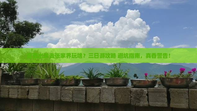 定西到张家界三日游
