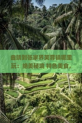 曲靖到张家界芙蓉镇哪里玩