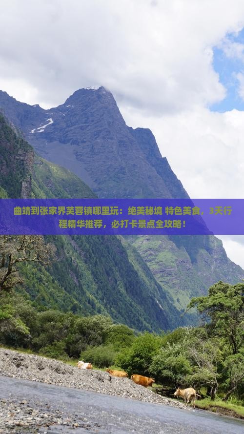曲靖到张家界芙蓉镇哪里玩
