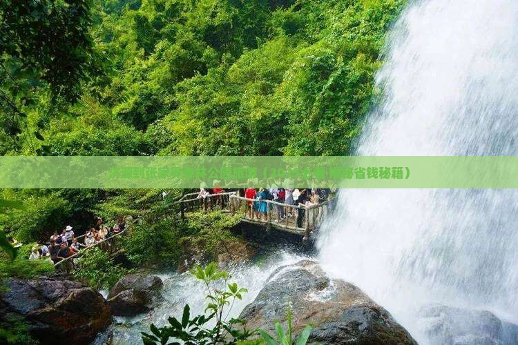 济源到张家界森林公园团体旅游
