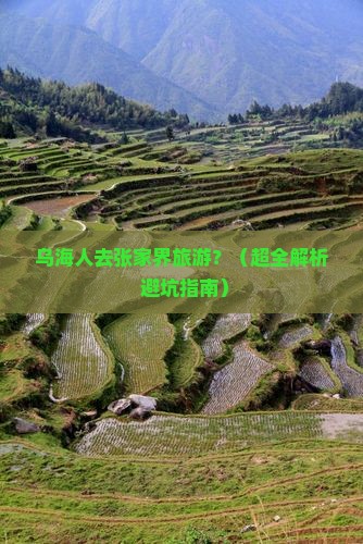 乌海去张家界旅游