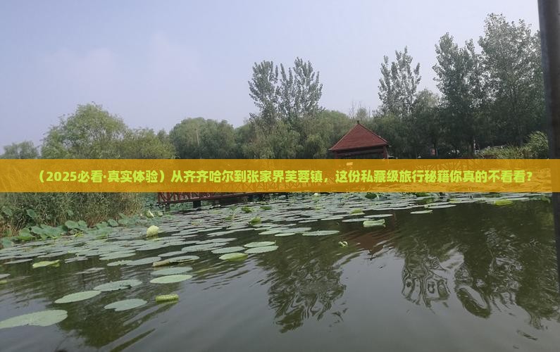 齐齐哈尔去张家界芙蓉镇旅游