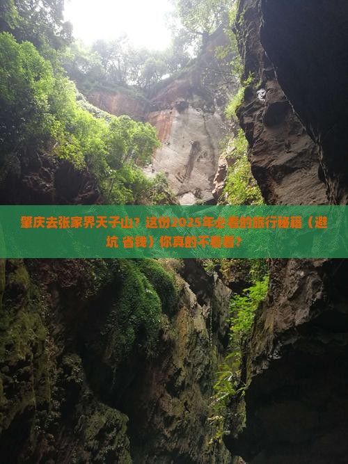 肇庆去张家界天子山必去地