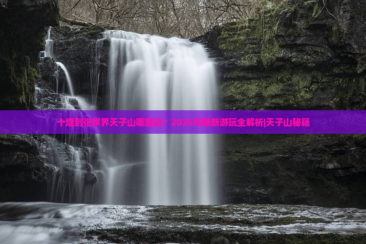 十堰到张家界天子山哪里玩