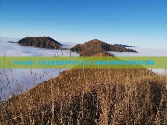 大庆去张家界天门山个人游
