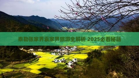 阿泰勒去张家界袁家界景点