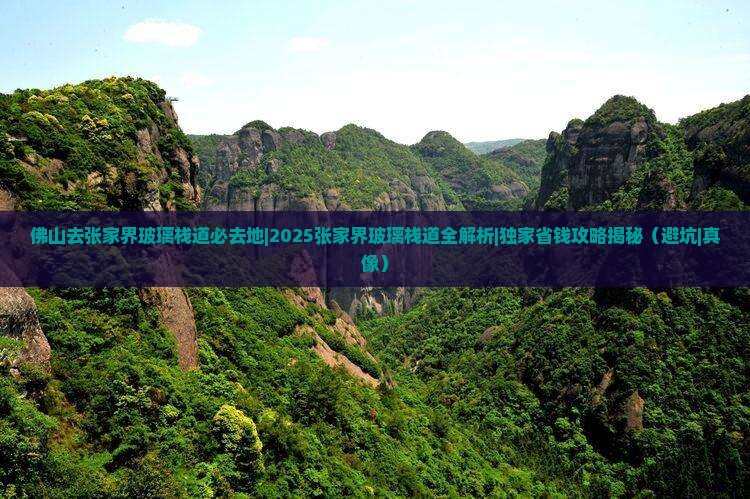 佛山去张家界玻璃栈道必去地