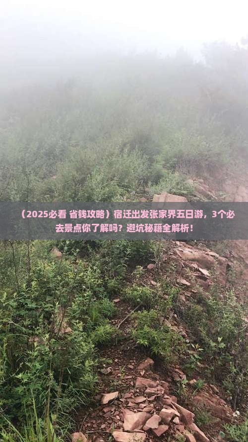 宿迁到张家界五日游