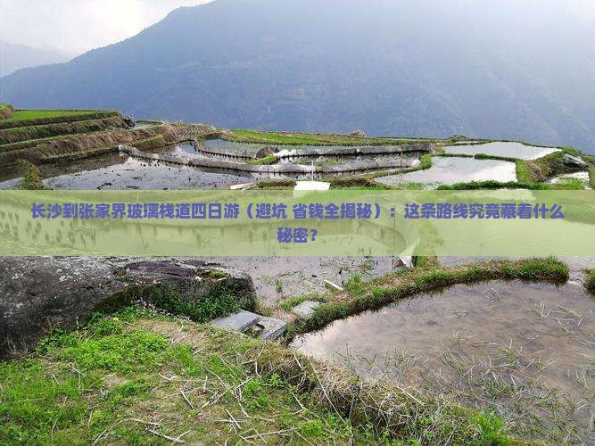 长沙到张家界玻璃栈道四日游