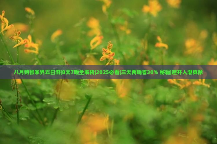 八月到张家界五日游