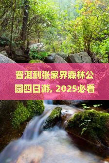 普洱到张家界森林公园四日游