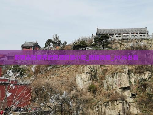 黔南去张家界武陵源旅游小吃