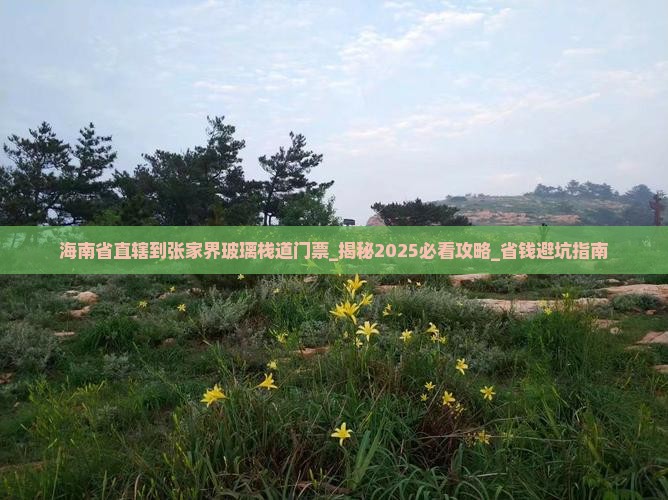 海南省直辖到张家界玻璃栈道门票