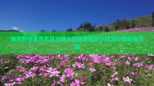 南京到张家界凤凰古城大型旅游团