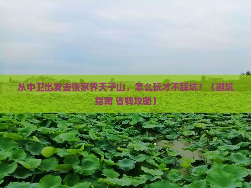 中卫去张家界天子山景点