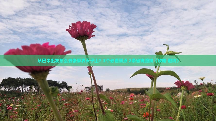巴中去张家界天子山景点